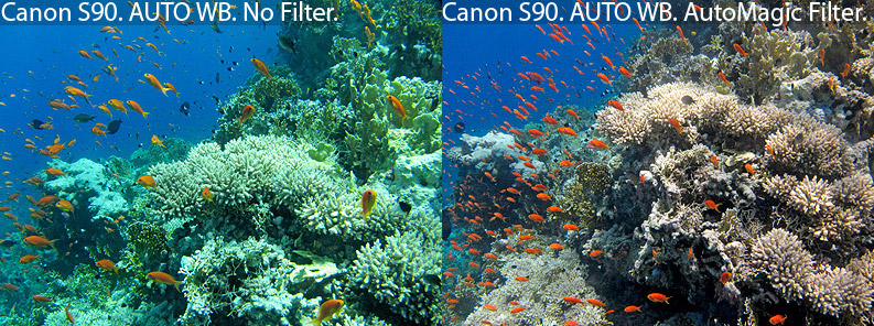 filters for underwater photography